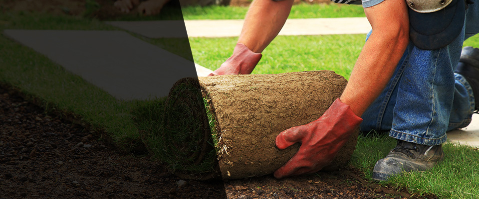 Moriarty Landscapers